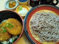 タレカツ丼セット